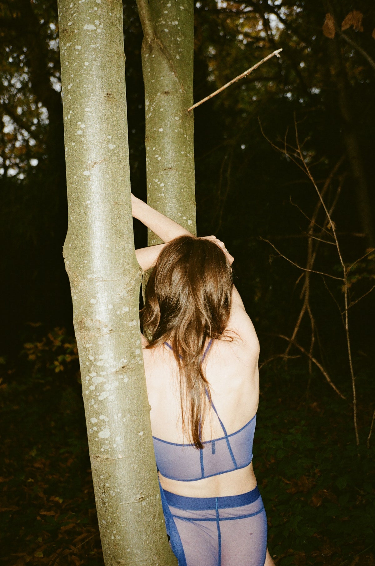 courage (see-through, bic blue)