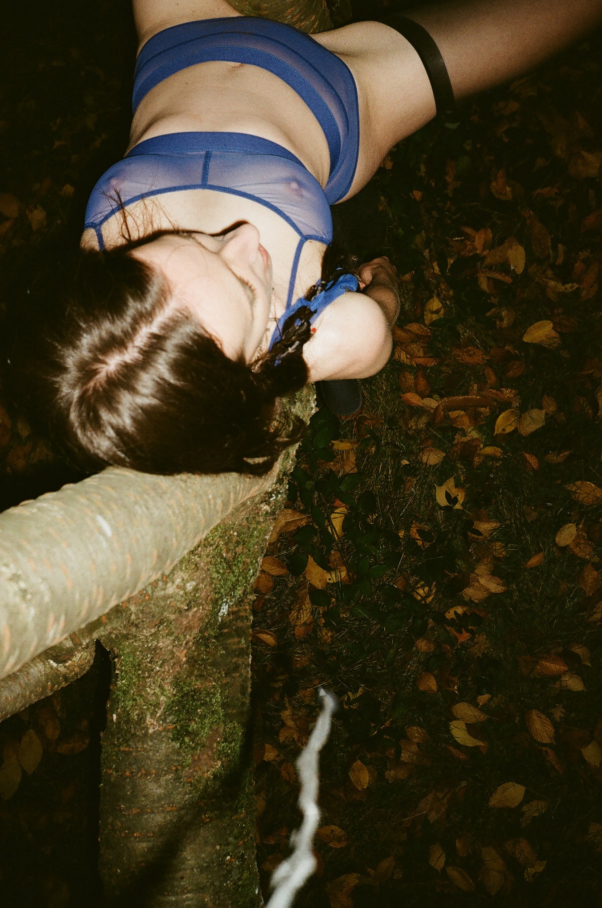 sonne (see-through, bic blue)