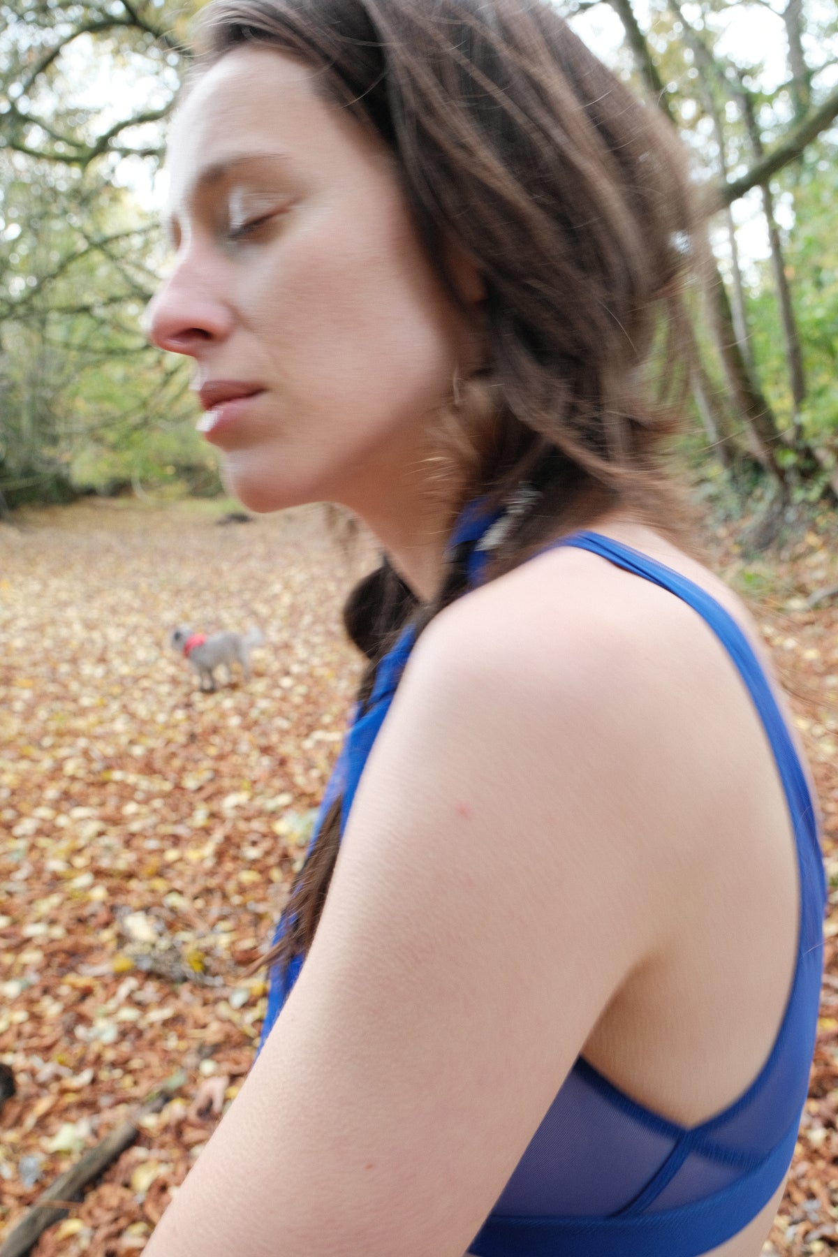 ramble on (see-through, bic blue)