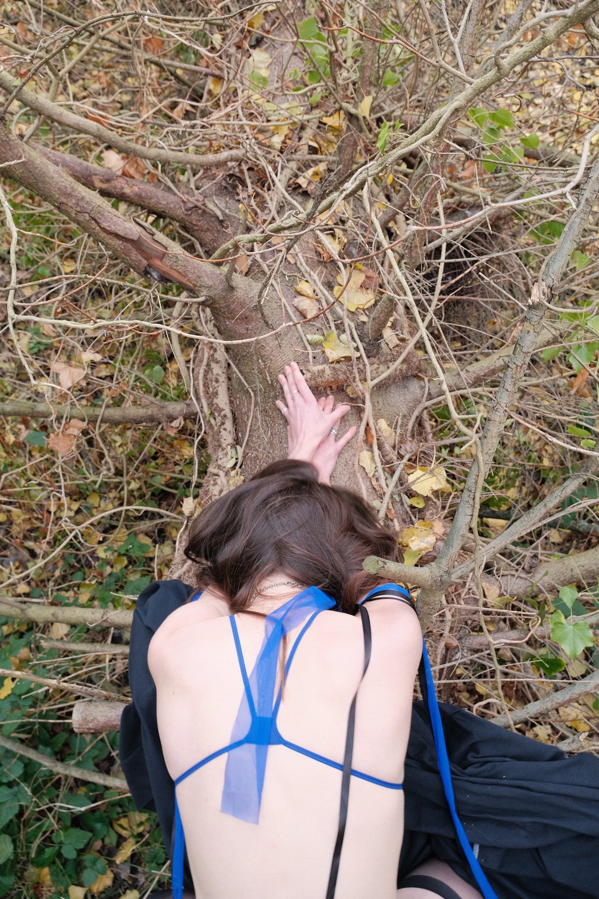 can thrill (see-through, bic blue)