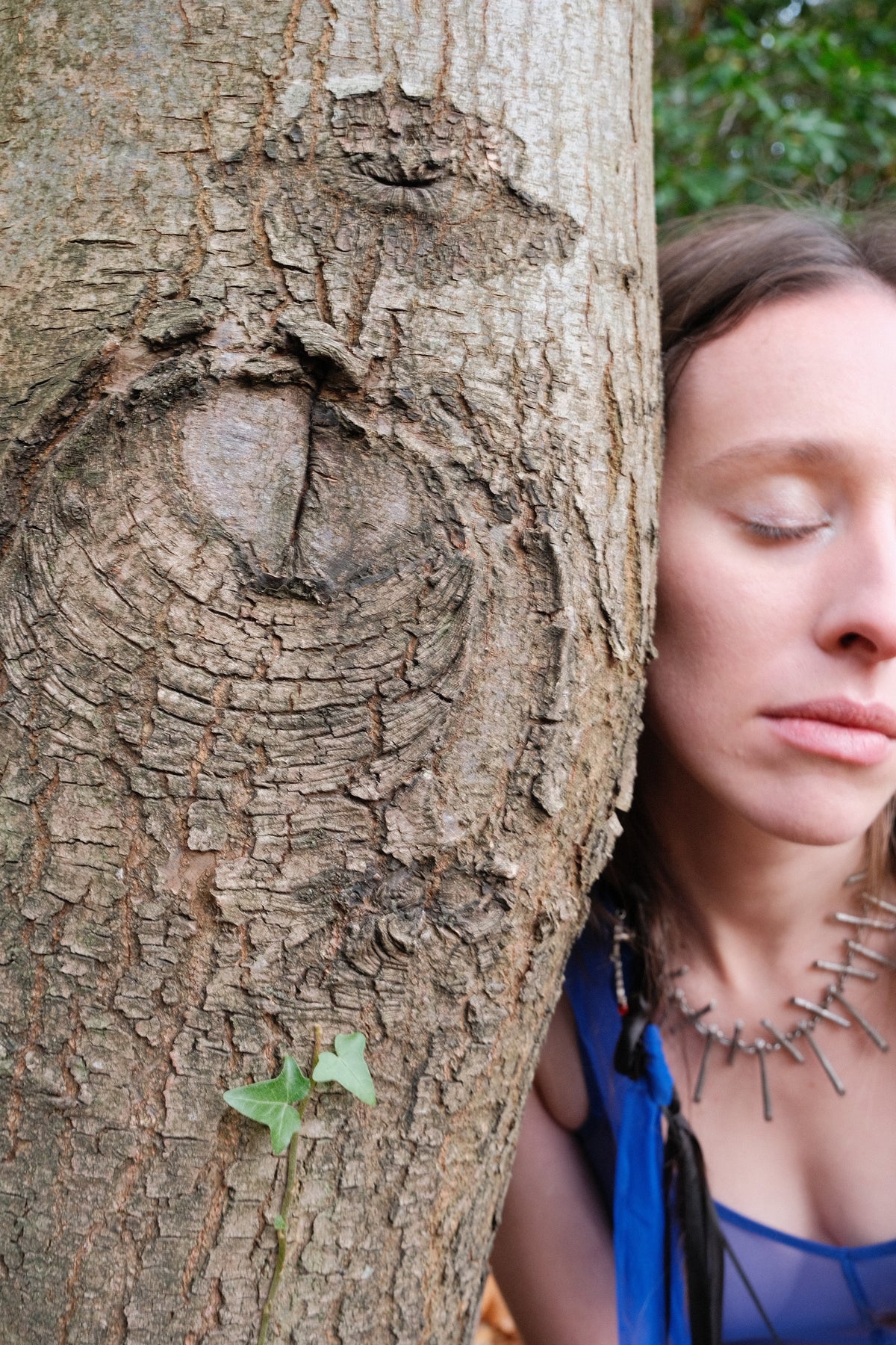 courage (see-through, bic blue)