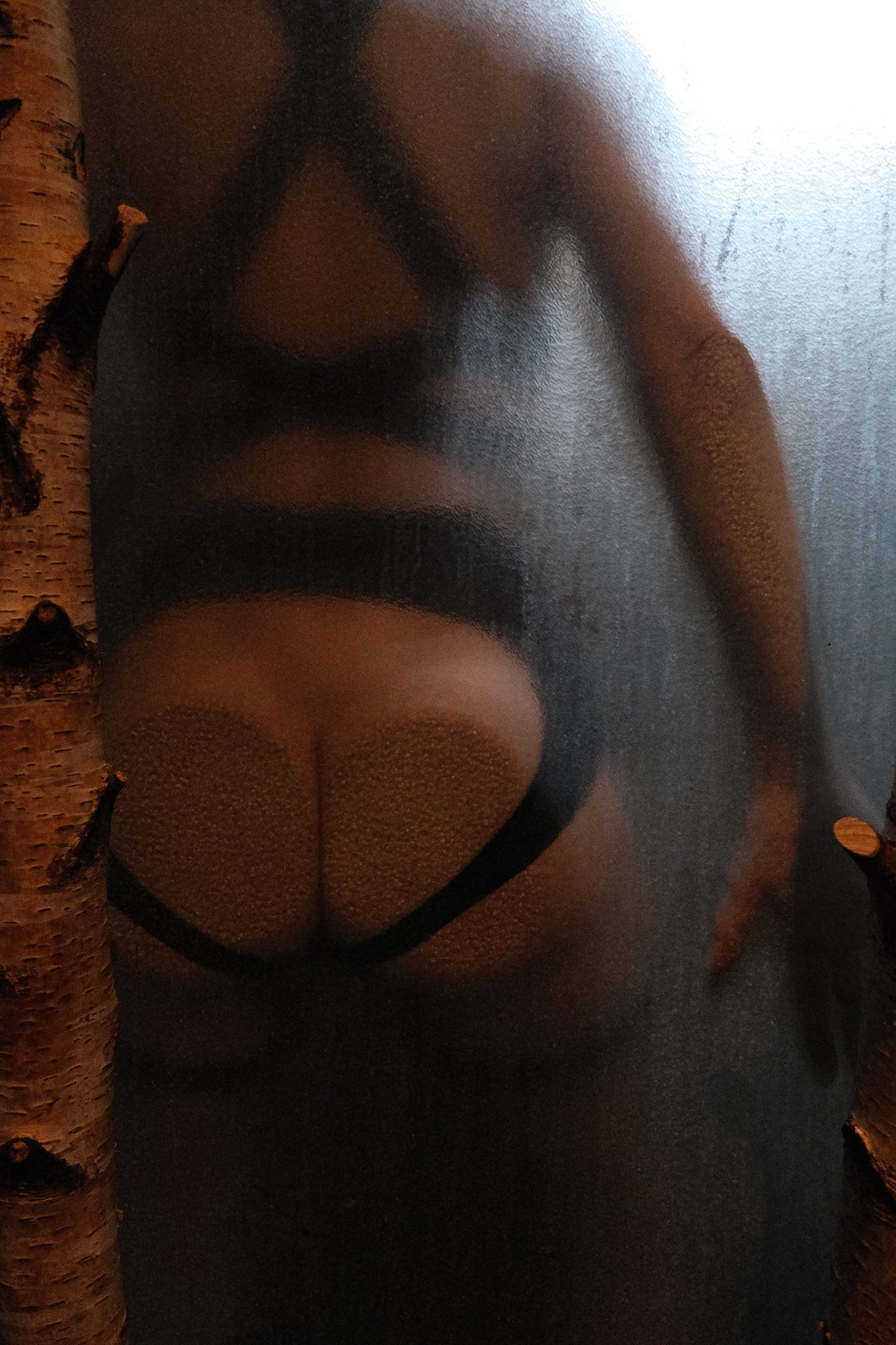 zodiac (see-through, black)