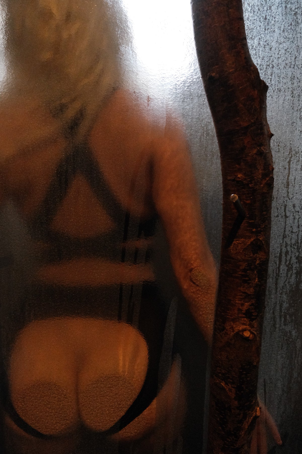 zodiac (see-through, black)