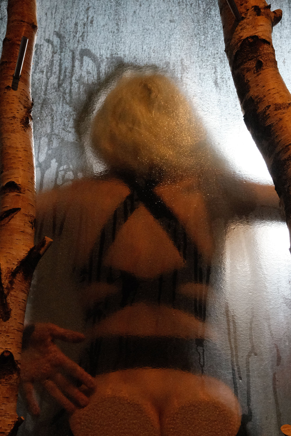 zodiac (see-through, black)